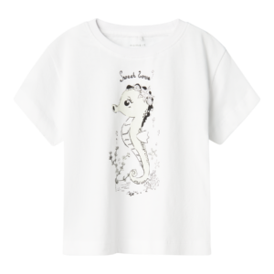 NMFZOSIGNE NREG SS TOP